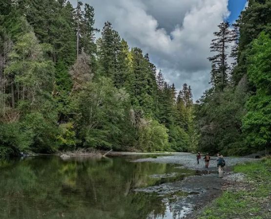 Redwood Creek Dispersed Camping