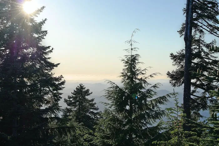 Marys Peak Campground 5