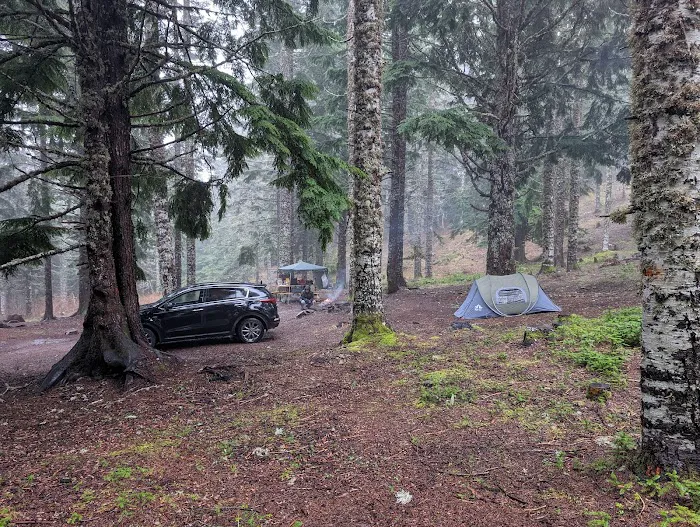 Marys Peak Campground 8