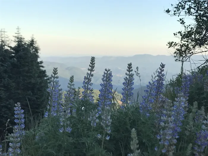 Marys Peak Campground 1