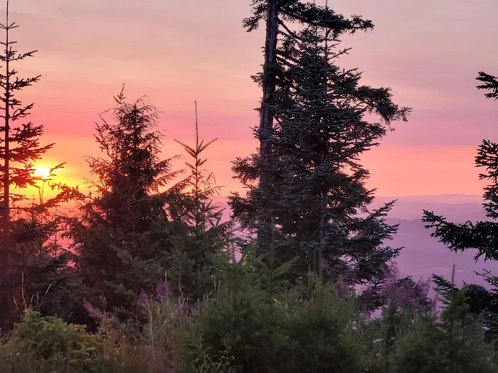 Marys Peak Campground 3