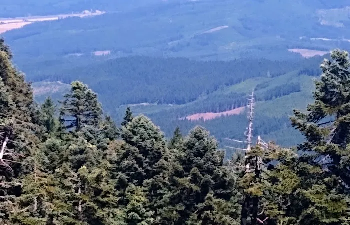 Marys Peak Campground 2