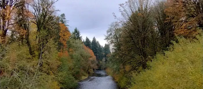 Salmonberry Park & Campground 3