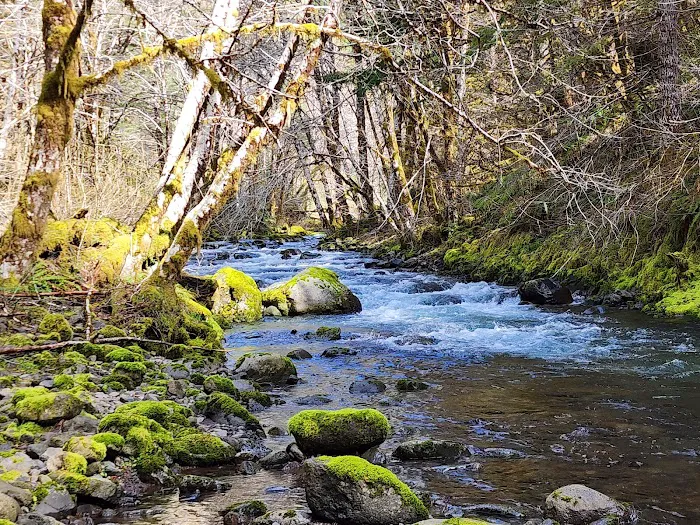 Elk Creek Campground 4