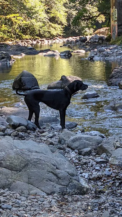 Elk Creek Campground 5