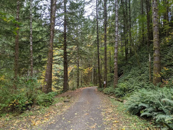 Elk Creek Campground 2