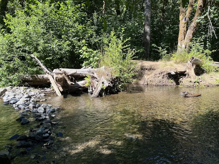 Gales Creek Campground 4