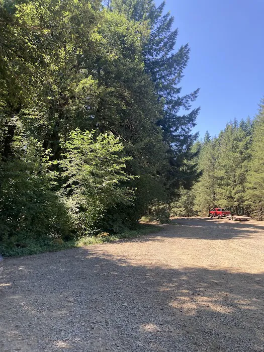 Gales Creek Campground 5