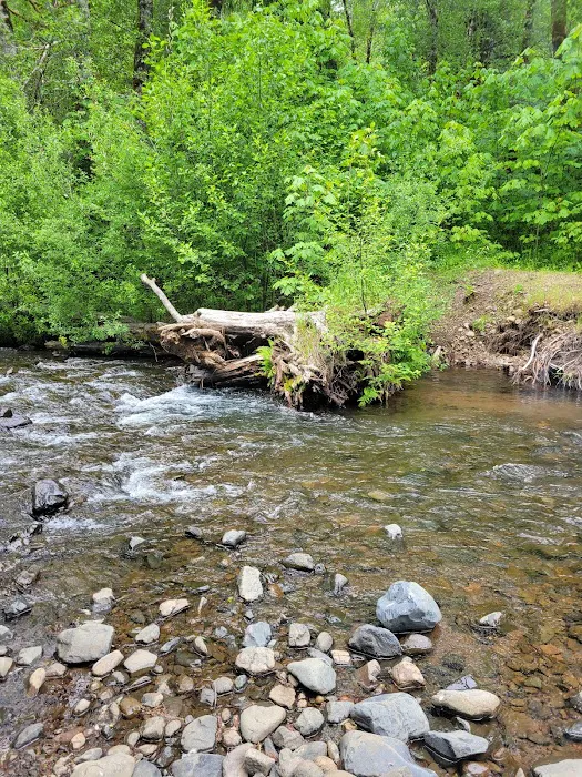 Gales Creek Campground 1