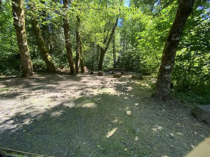 Gales Creek Campground 3