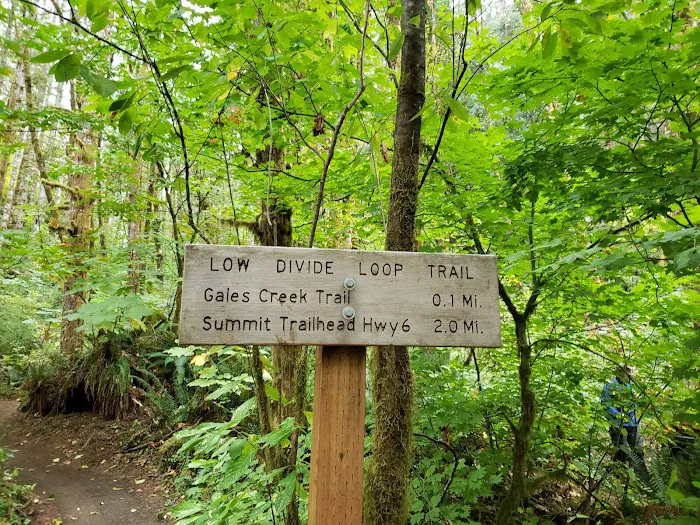 Gales Creek Campground 7