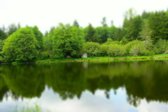 Reehers Camp 1