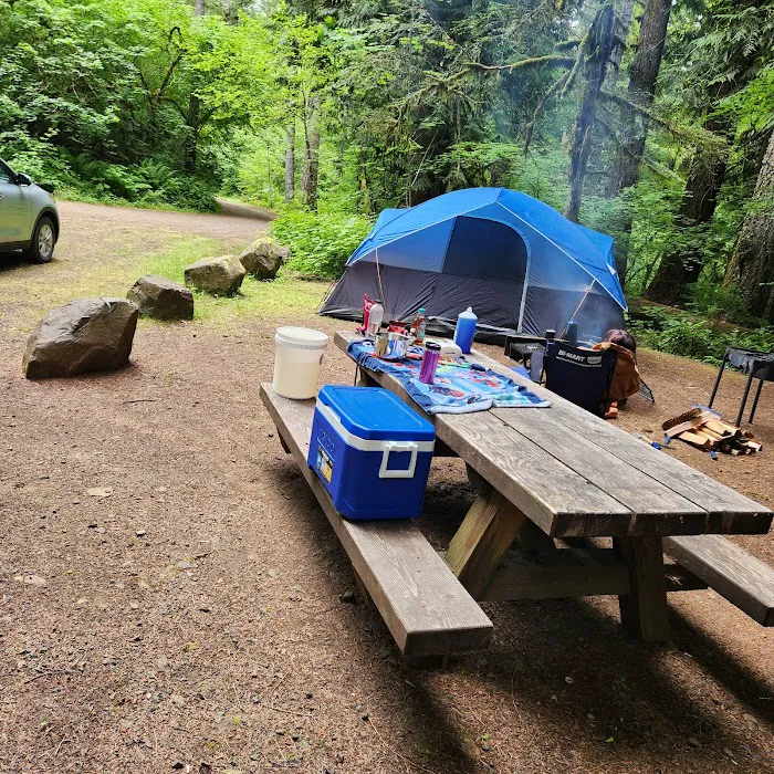 Reehers Camp 8