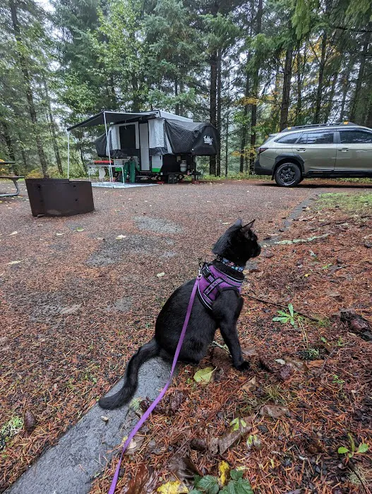 Dairy Creek Camp West 7