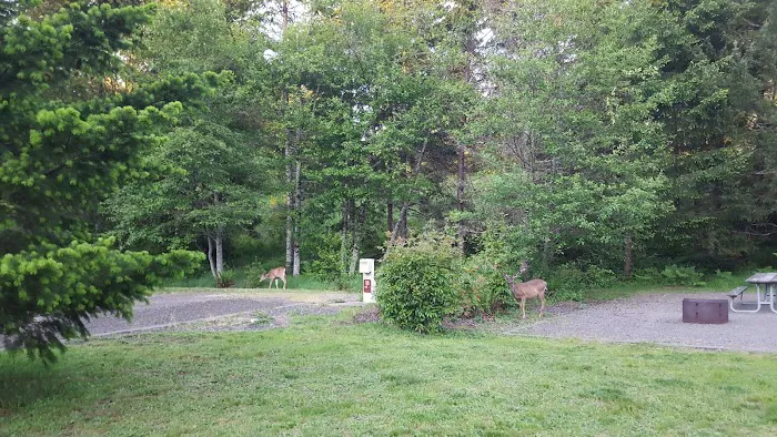 Dairy Creek Camp West 8