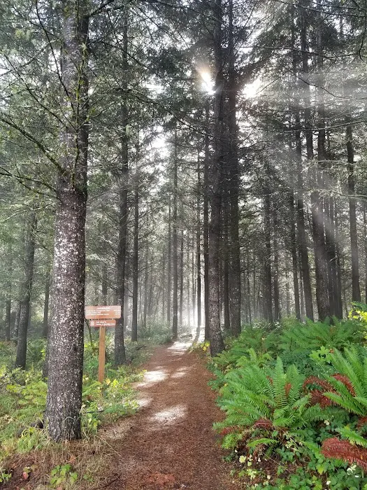 Dairy Creek Camp East 1