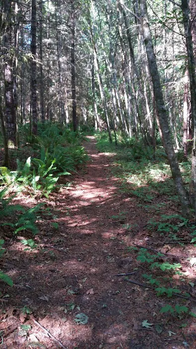 Dairy Creek Camp East 5