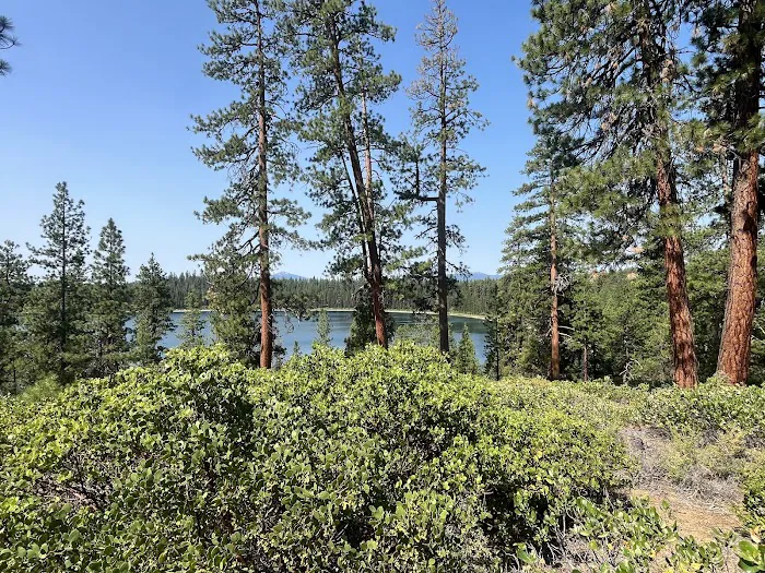 North Twin Lake Campground Picture 4