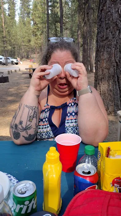 North Twin Lake Campground Picture 6