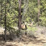 North Twin Lake Campground