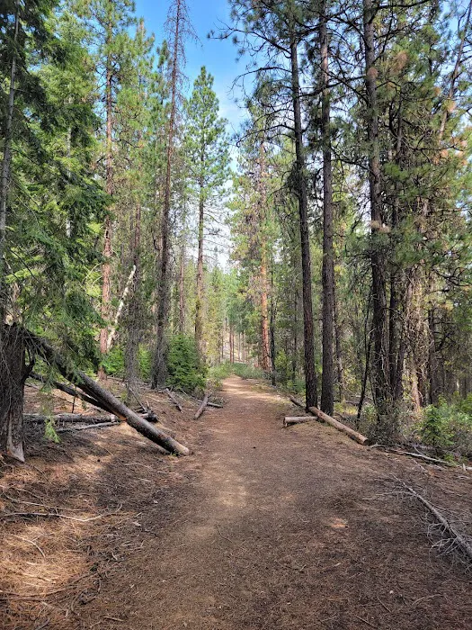 North Twin Lake Campground Picture 8