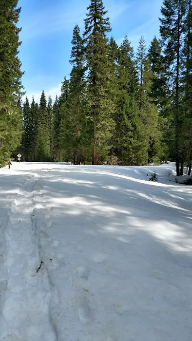 Box Canyon Horse Camp 1