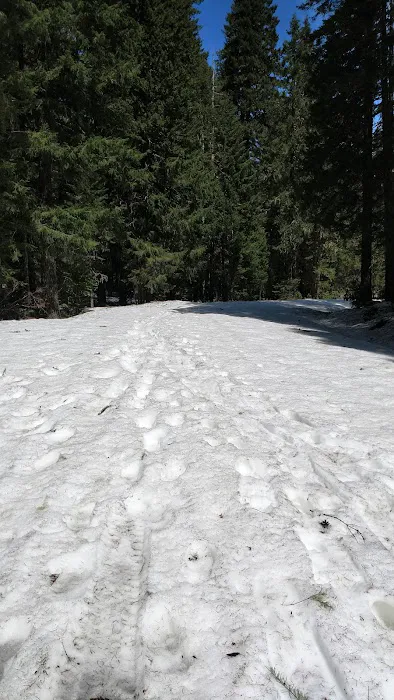 Box Canyon Horse Camp 2