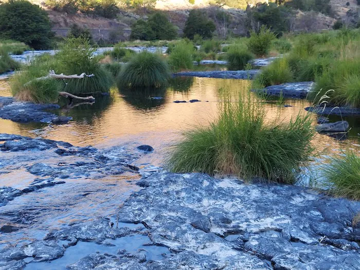 Oak Springs Campground 6