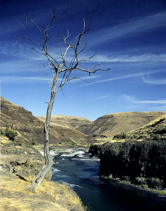 White River BLM Campground 8