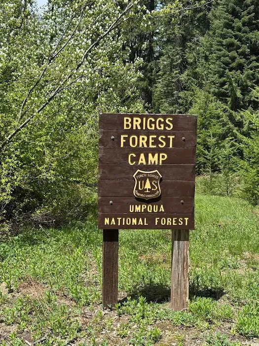 Briggs Forest Camp 0