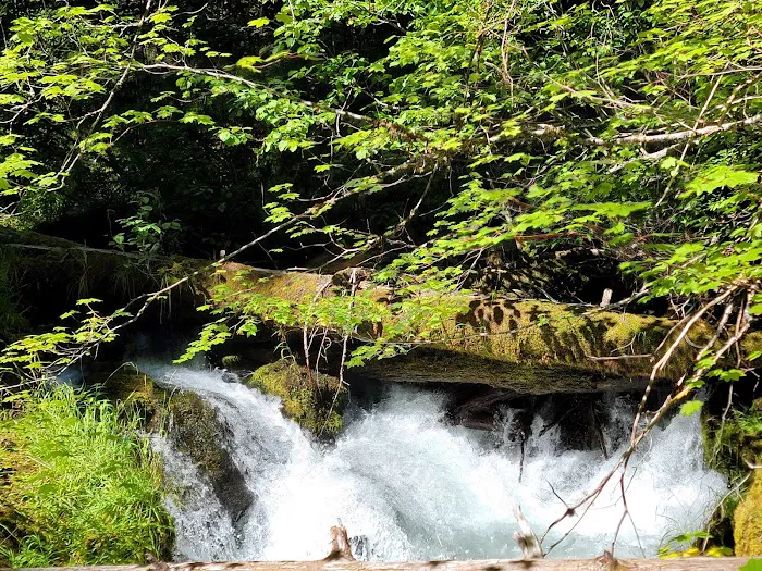 Whitehorse Falls Campground 3