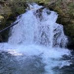 Whitehorse Falls Campground