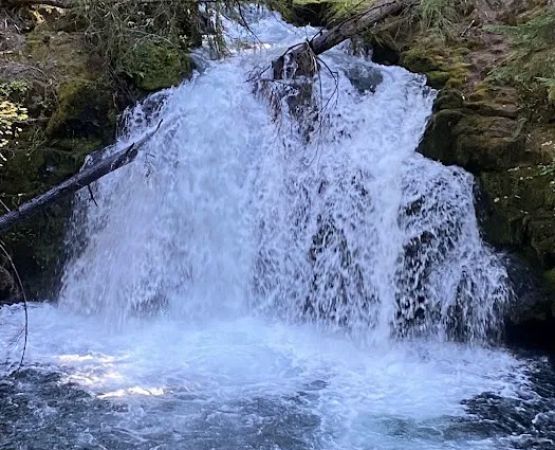 Whitehorse Falls Campground