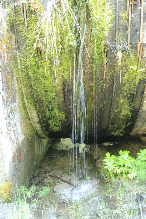 Whitehorse Falls Campground 5
