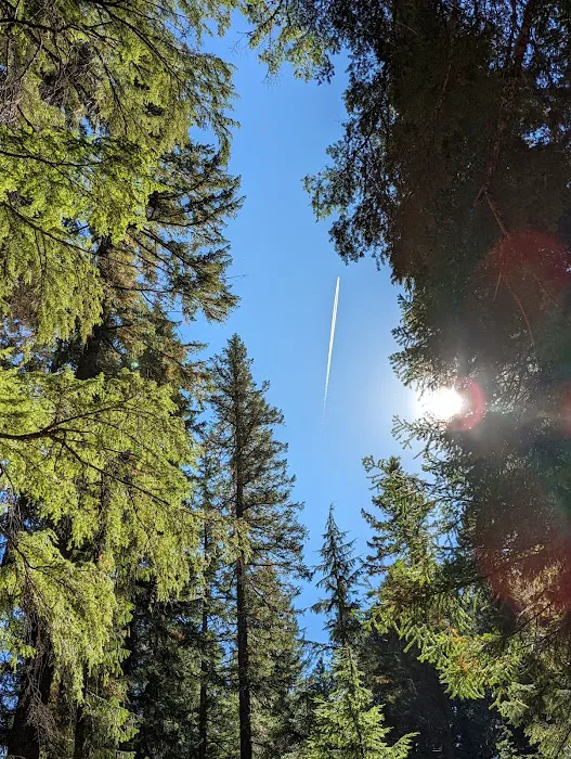 Whitehorse Falls Campground 1
