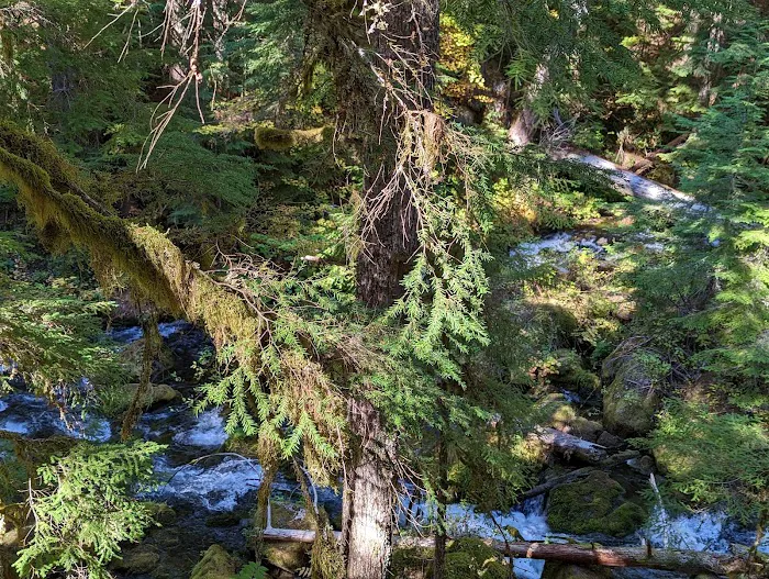 Whitehorse Falls Campground 6
