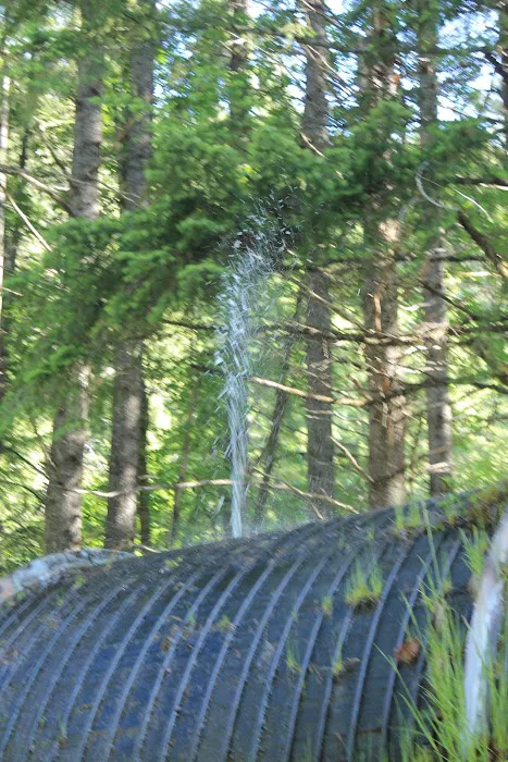 Whitehorse Falls Campground 4