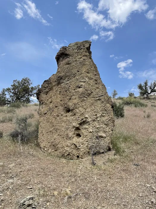 Peterson Rock Garden Pit 0