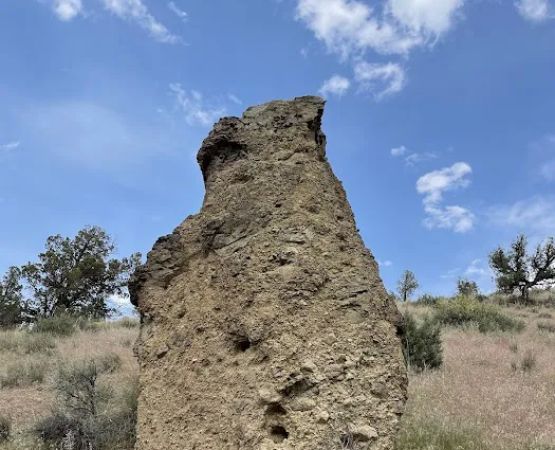 Peterson Rock Garden Pit