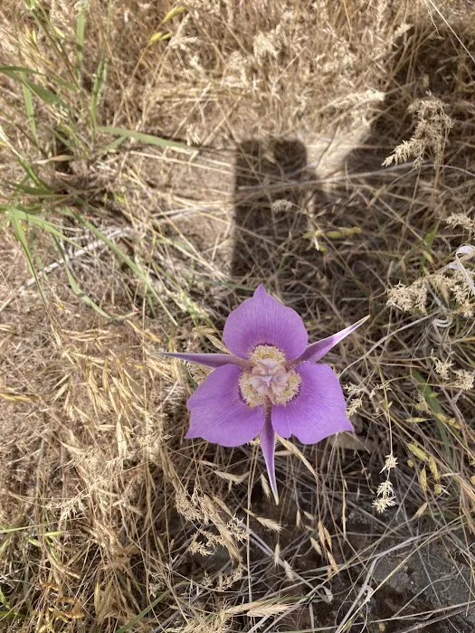 Burnt Ranch Campground 7