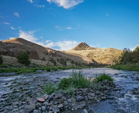 Burnt Ranch Campground