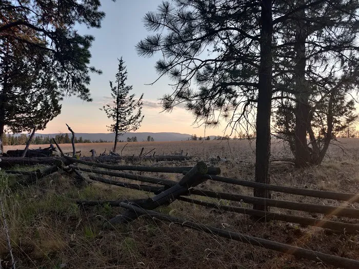 Allen Creek Horse Camp 2