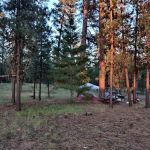 Allen Creek Horse Camp