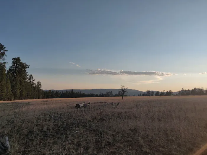 Allen Creek Horse Camp 1