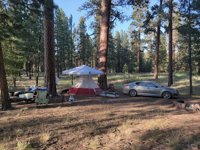 Allen Creek Horse Camp 3