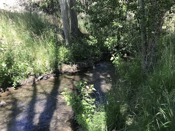 Mitchell City Park 2