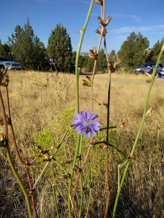 Hidden Springs 1