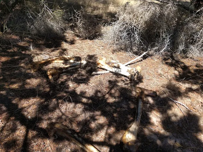 Hidden Springs 7