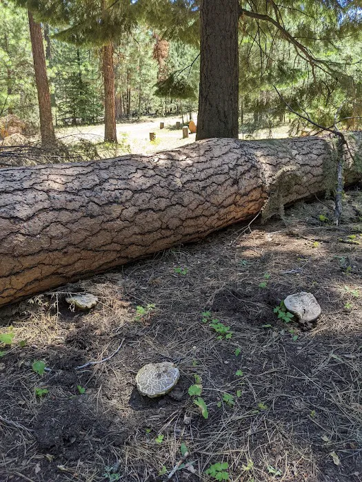 Wiley Flat Campground 4