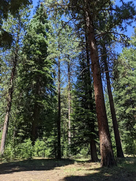 Wiley Flat Campground 7